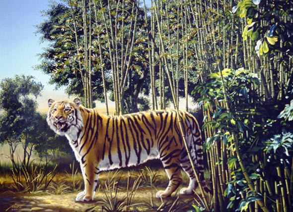 Hidden-Tiger-Optical-Illusion